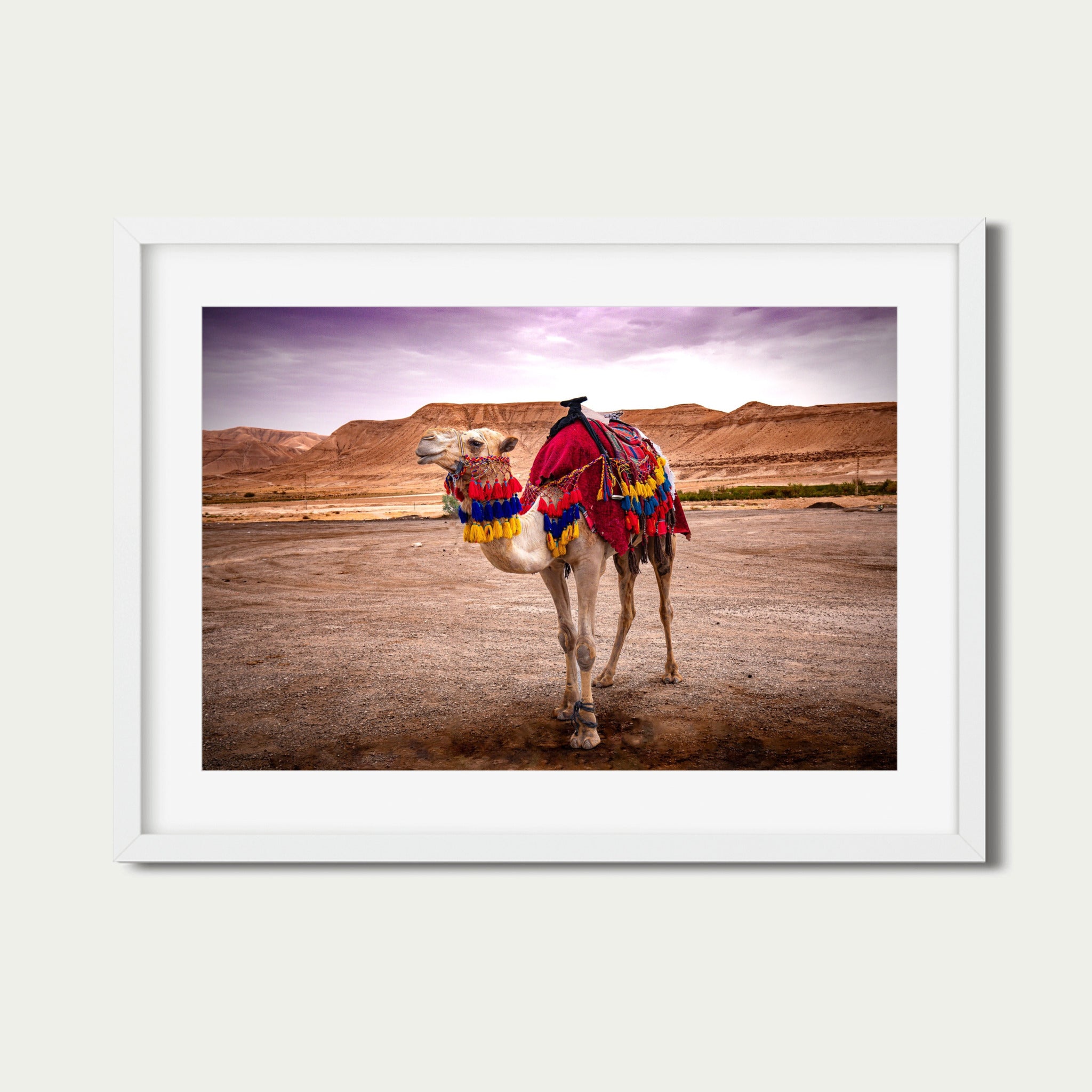 Spirit of the Desert – Bedouin Camel in Wadi Rum, Jordan | Fine Art Photography Print
