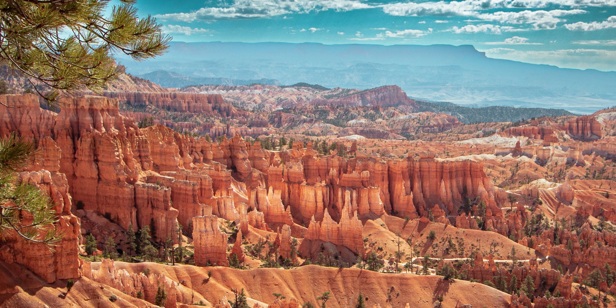 Sculpted by Time | Bryce Canyon National Park Hoodoo Landscape Print