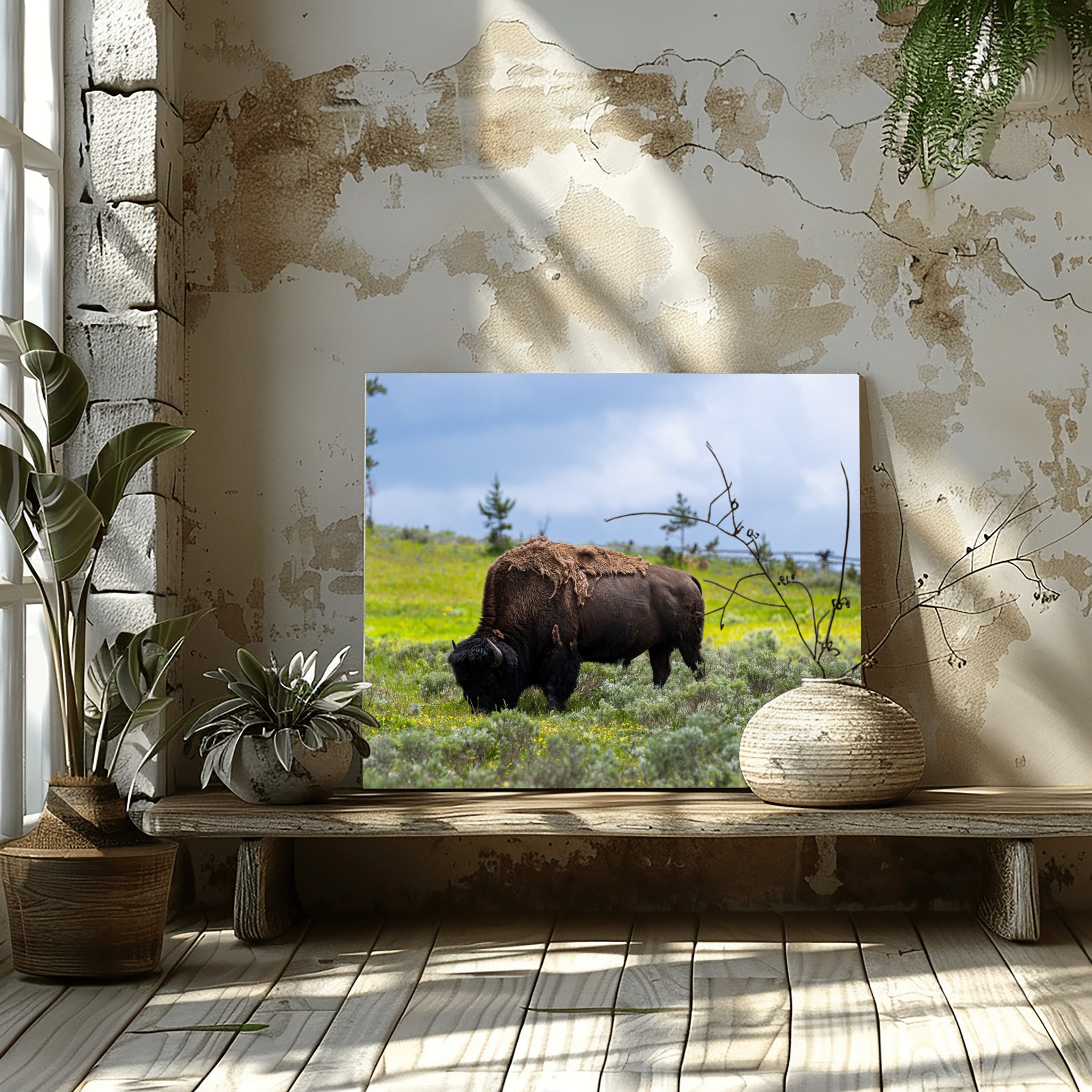 Silent Strength - Lamar Valley | Yellowstone Fine Art Print