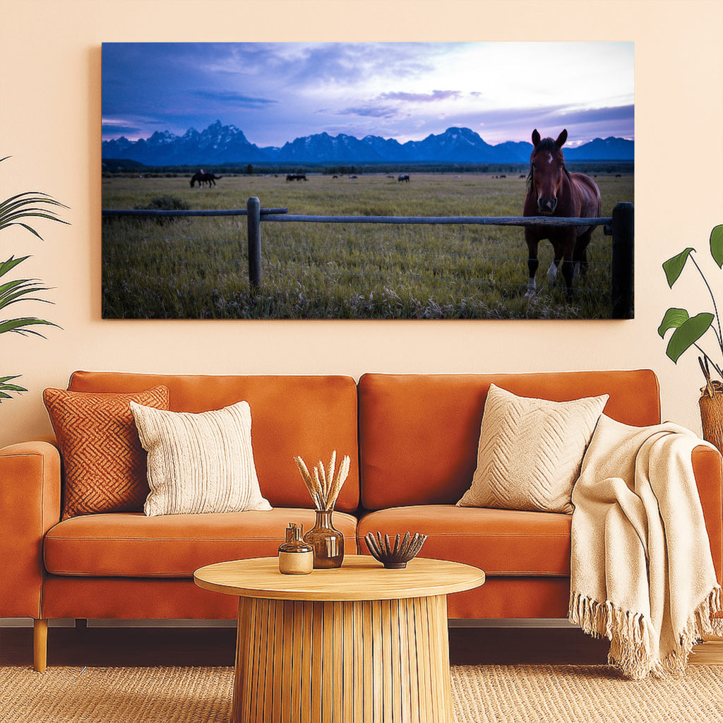 Soft Eye | Fine Art Horse Photography Print | Grand Teton National Park