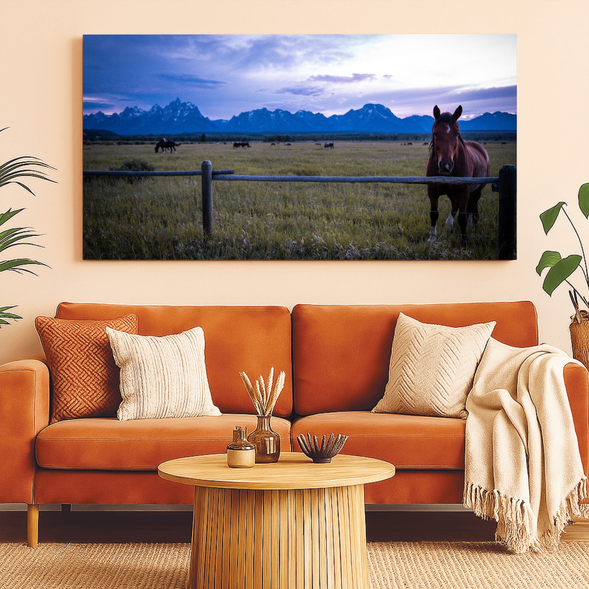Soft Eye | Fine Art Horse Photography Print | Grand Teton National Park