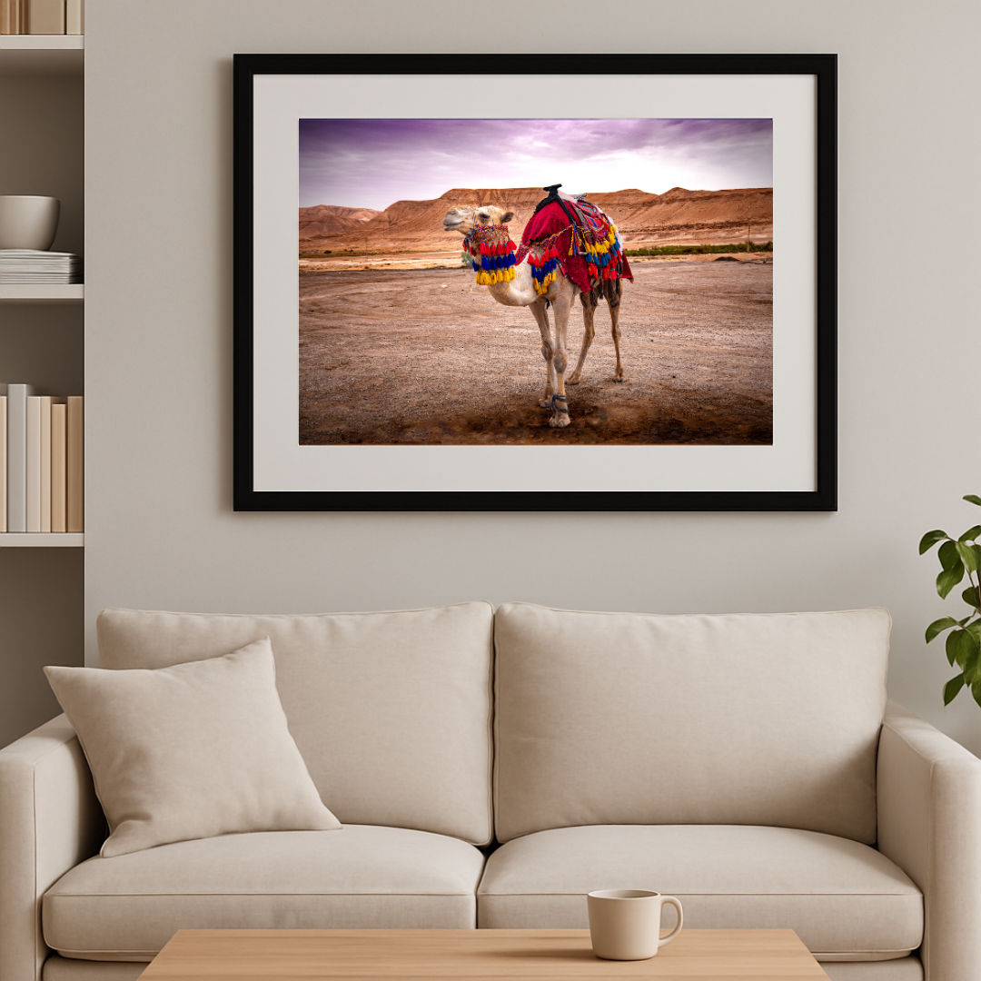 Spirit of the Desert – Bedouin Camel in Wadi Rum, Jordan | Fine Art Photography Print