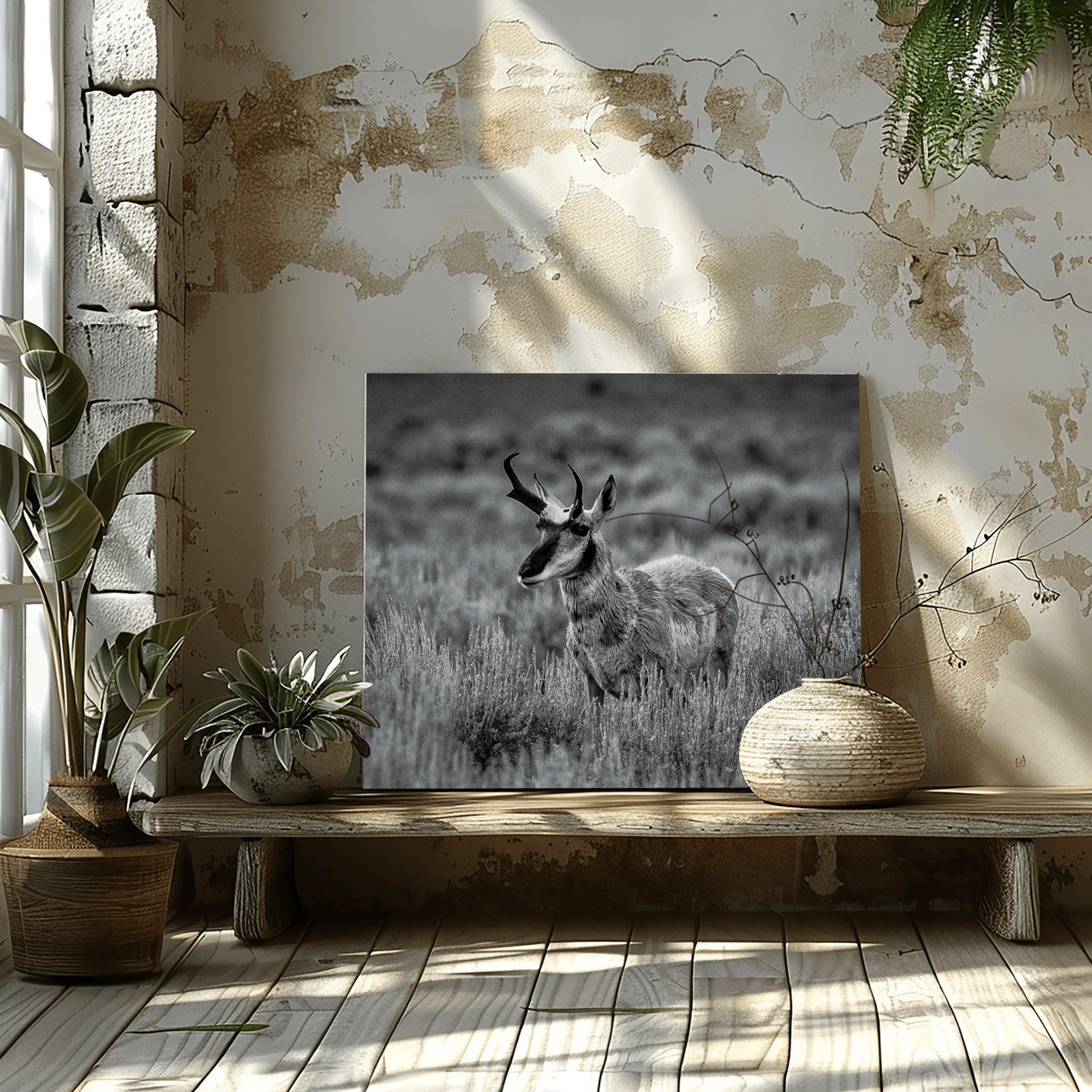The Scout | Yellowstone Wildlife Fine Art Print