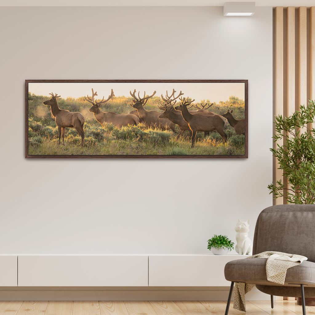 The Velvet Hour | Grand Tetons Wildlife Fine Art Print