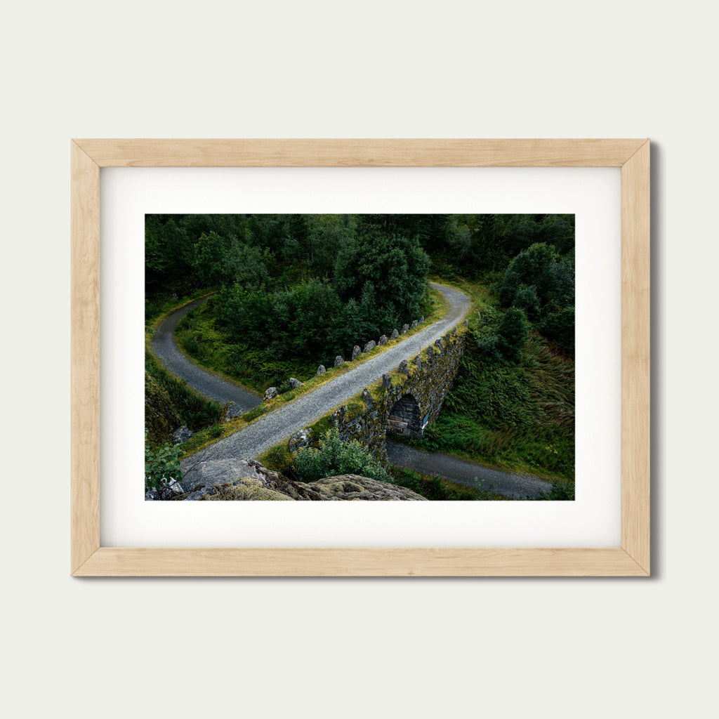 The Knot – Fine Art Photography Print