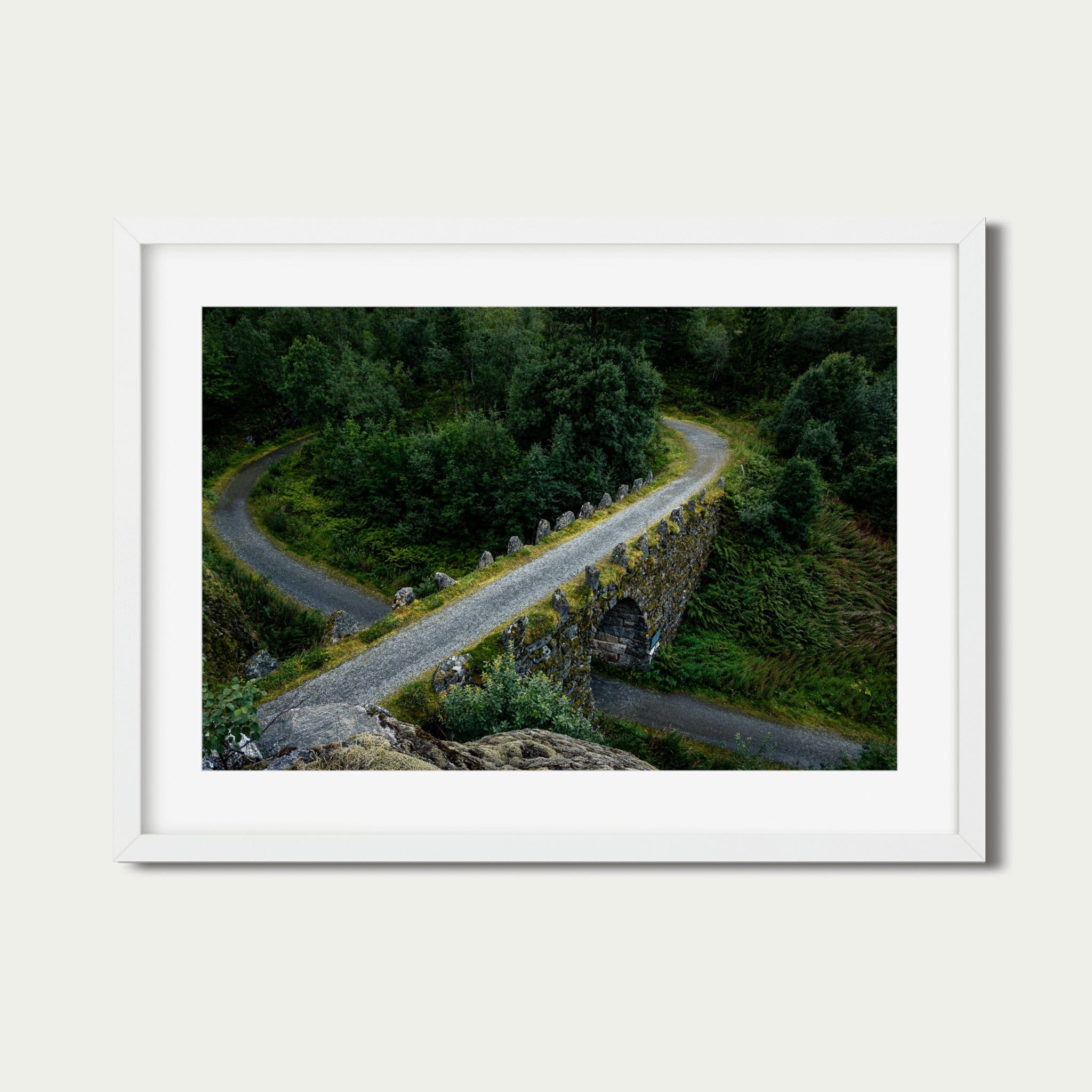 The Knot – Fine Art Photography Print