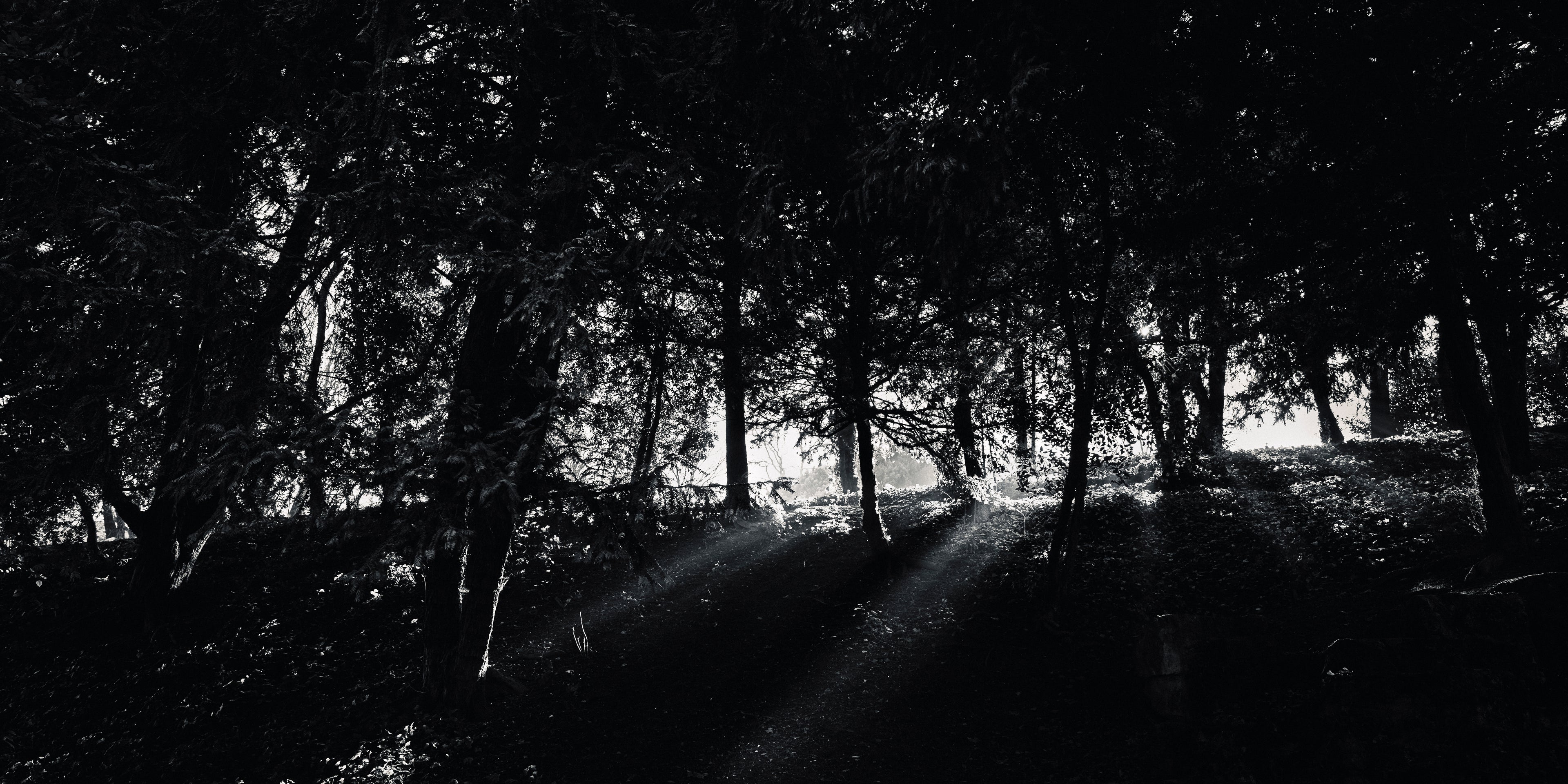 The Light – Paris Photography Print | Peaceful Nature Wall Art
