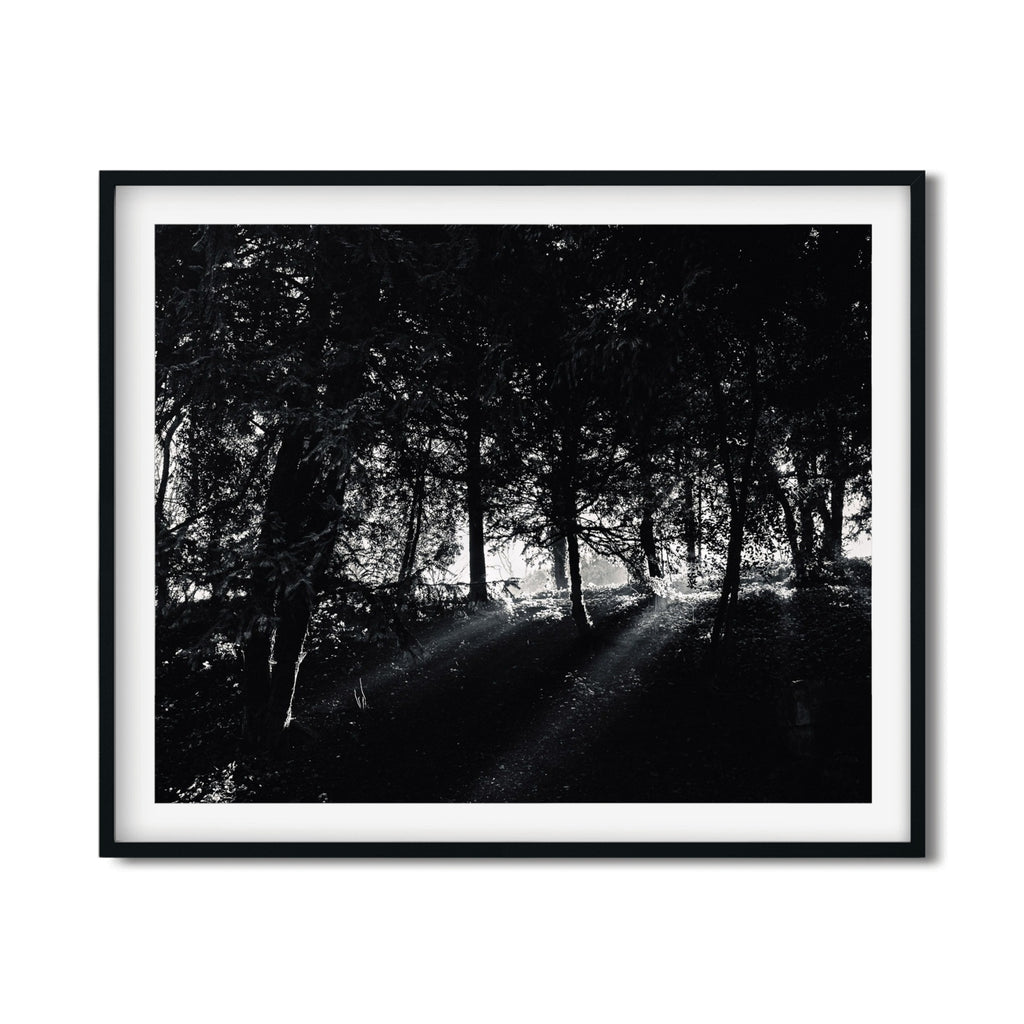 The Light – Paris Photography Print | Peaceful Nature Wall Art