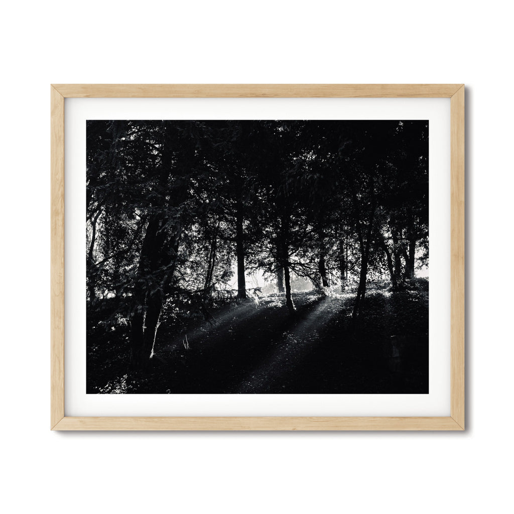 The Light – Paris Photography Print | Peaceful Nature Wall Art