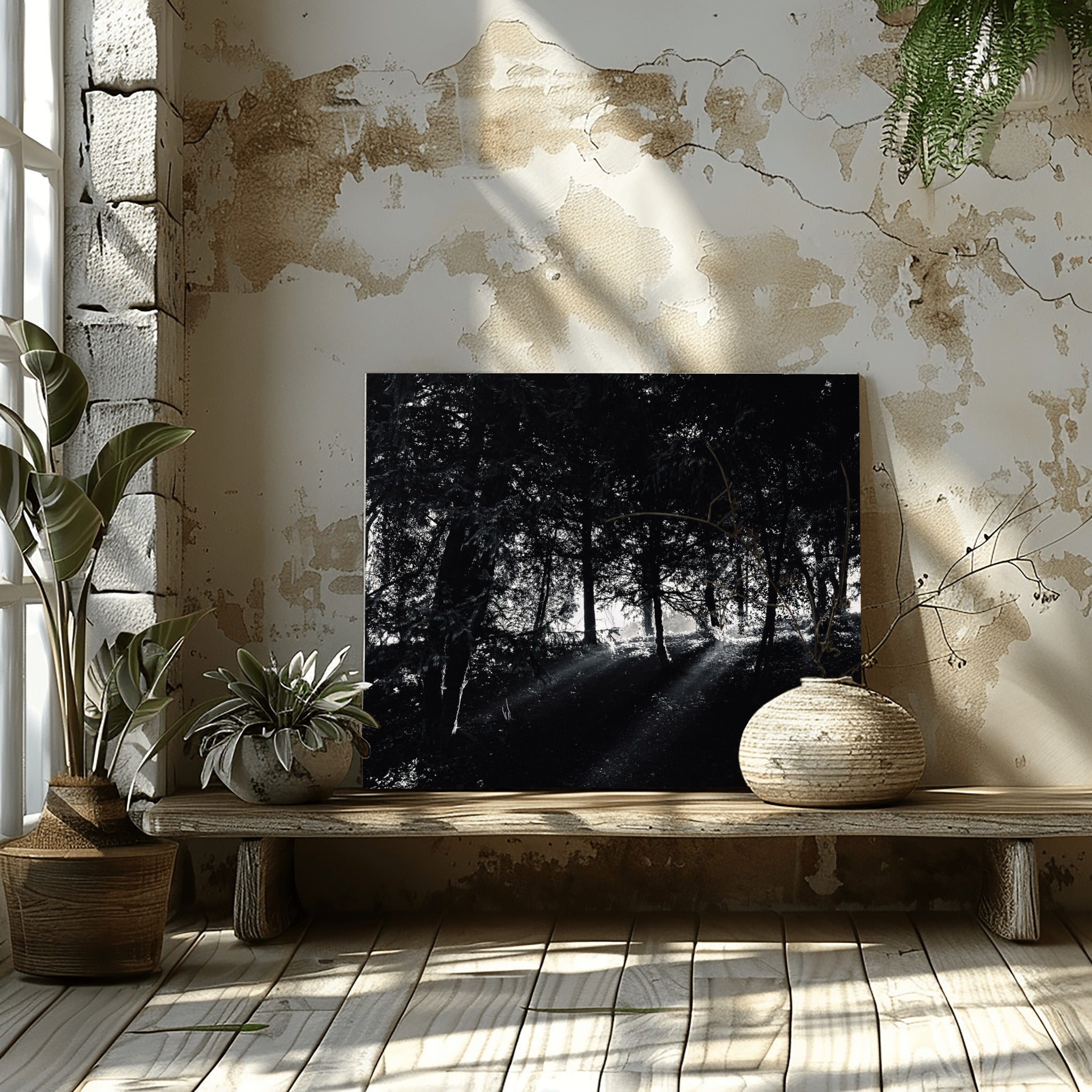 The Light – Paris Photography Print | Peaceful Nature Wall Art