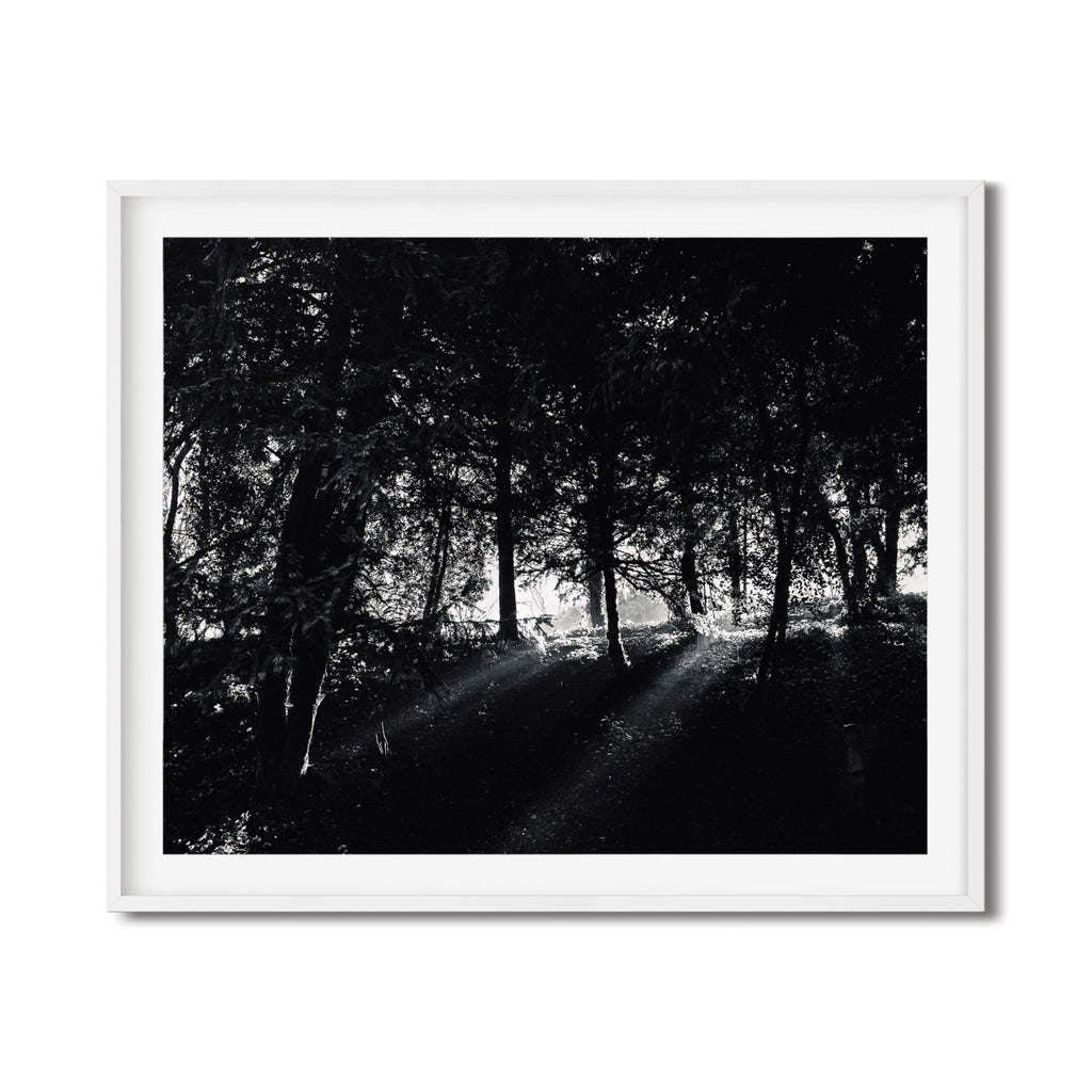 The Light – Paris Photography Print | Peaceful Nature Wall Art