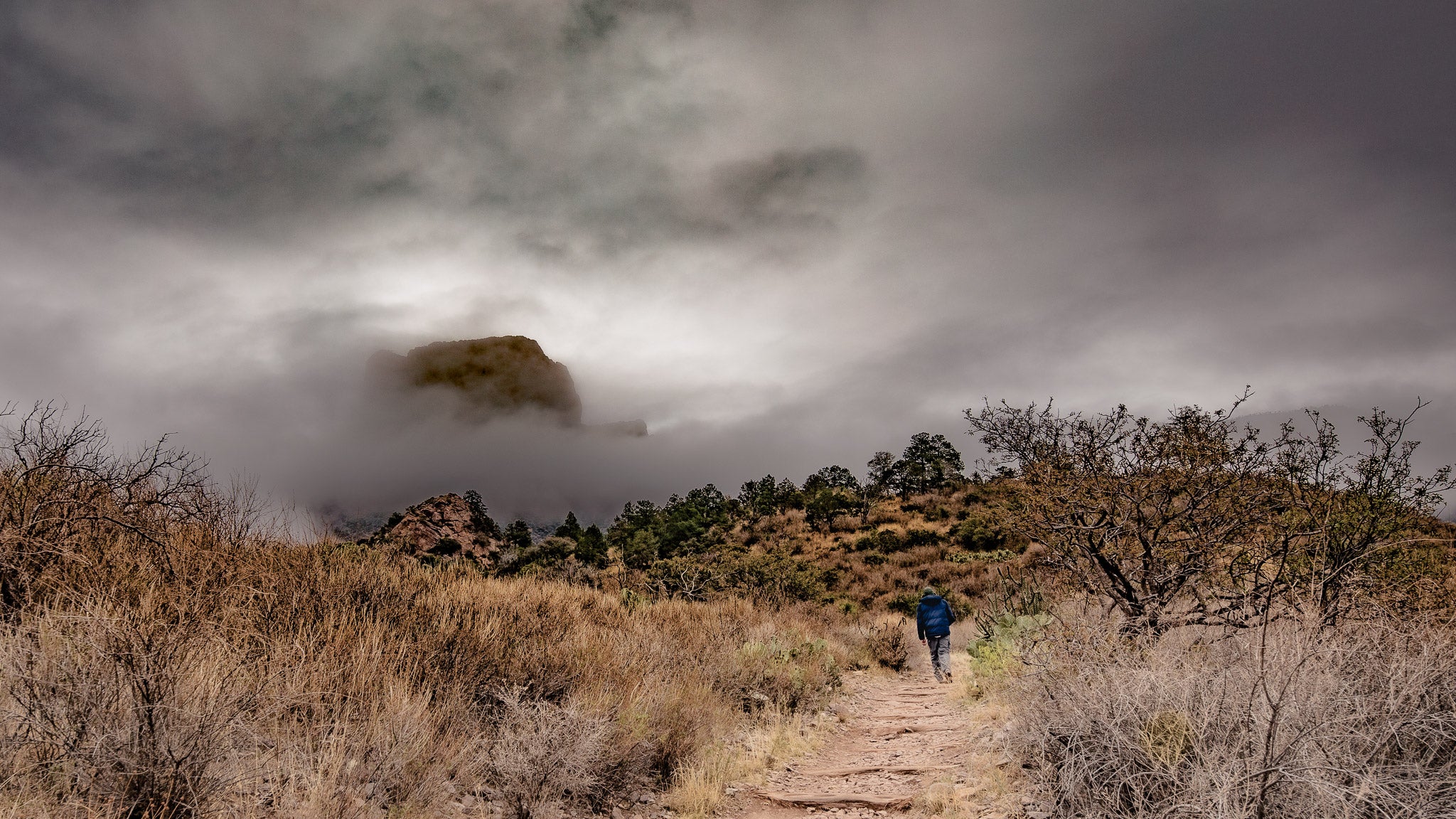 Threshold – Big Bend National Park Trail Photography Print