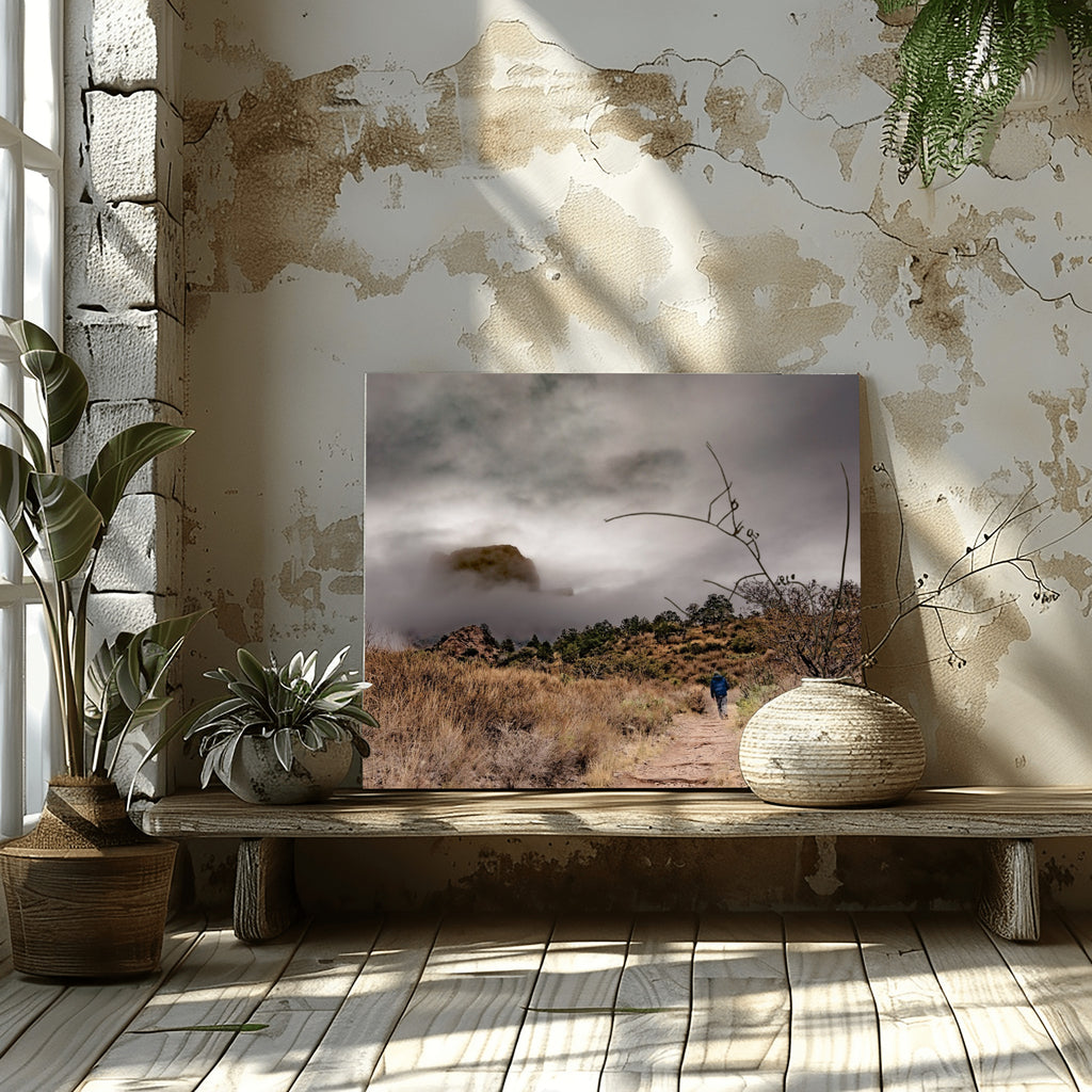 Threshold – Big Bend National Park Trail Photography Print