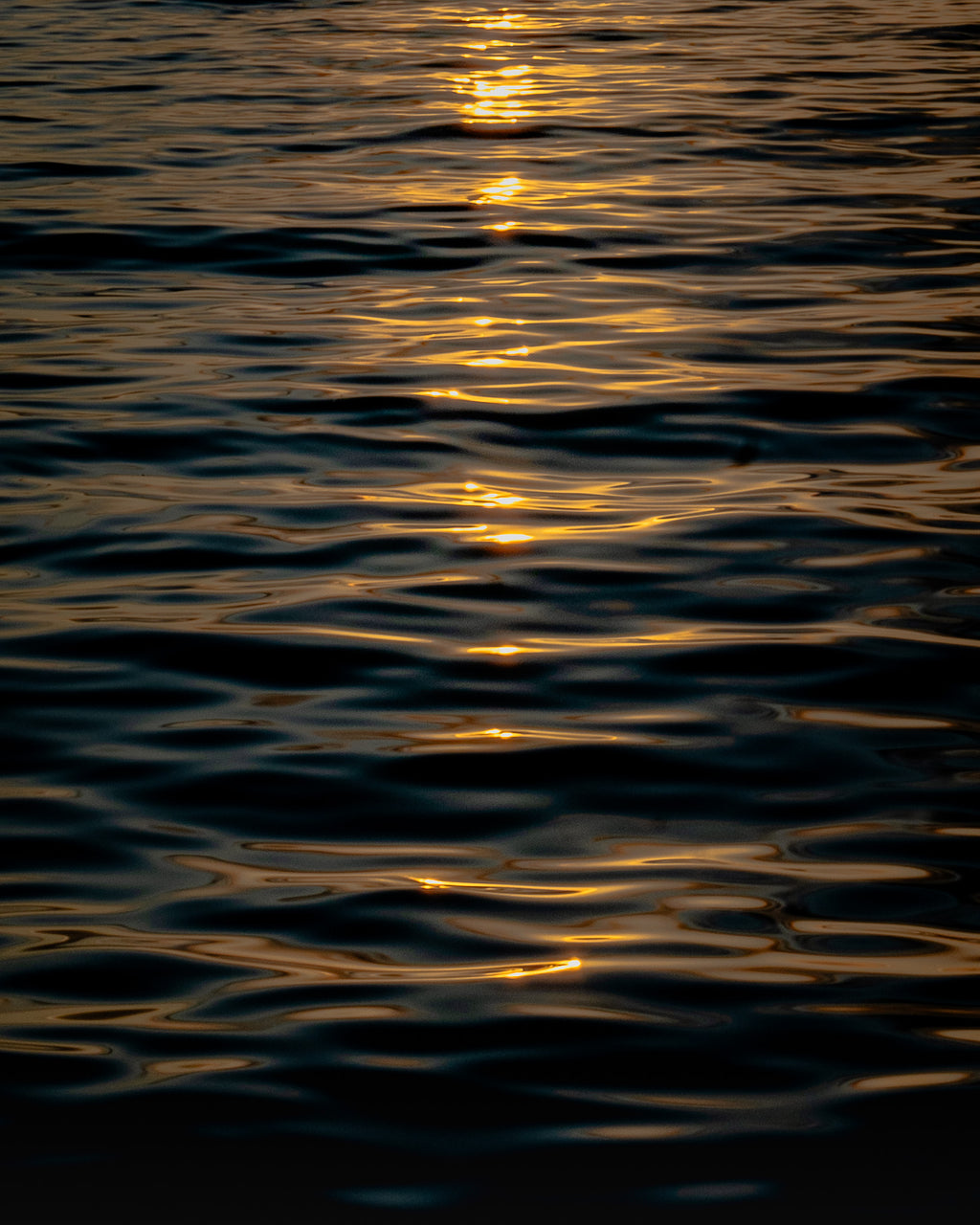 Through the Deep | Fine Art Photography Print
