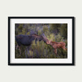 While You Still Need Me | Moose Fine Art Photography
