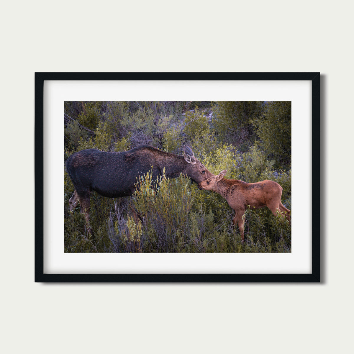 While You Still Need Me | Moose Fine Art Photography