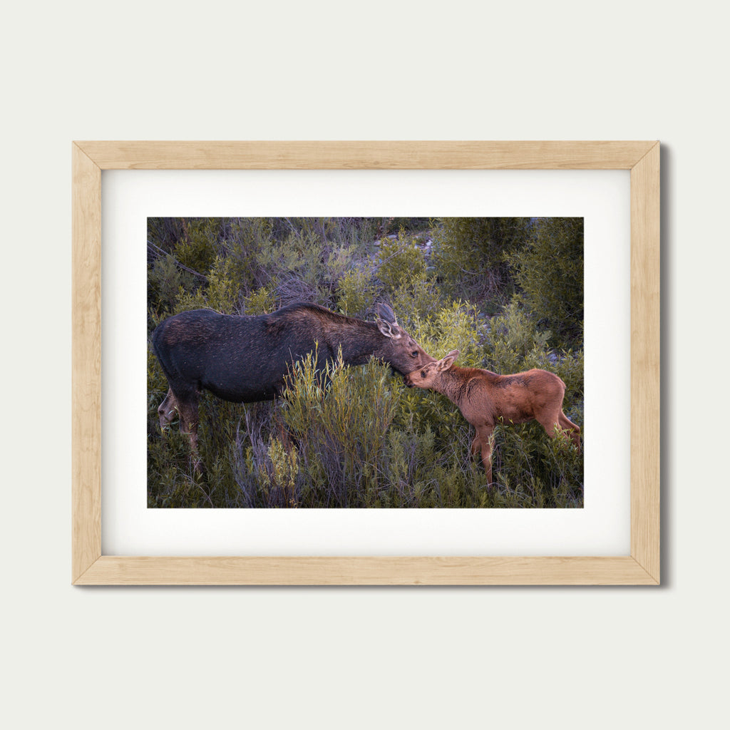 While You Still Need Me | Moose Fine Art Photography