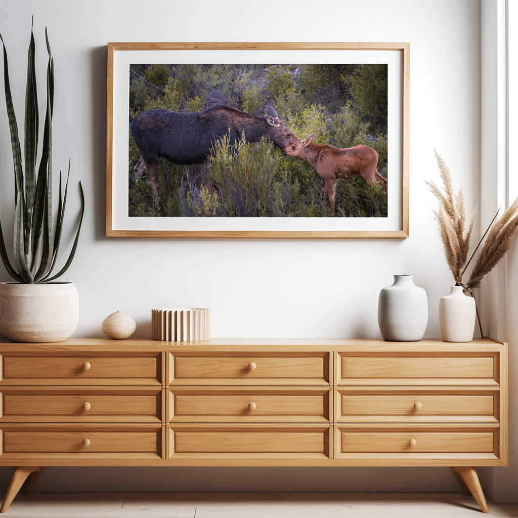 While You Still Need Me | Moose Fine Art Photography