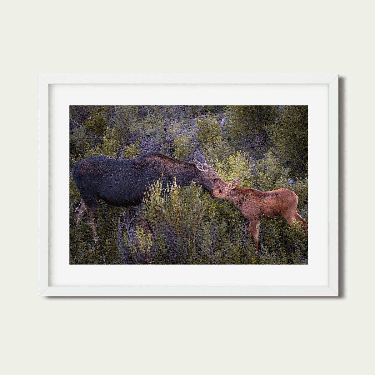 While You Still Need Me | Moose Fine Art Photography